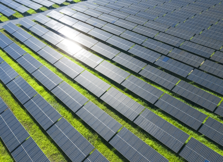 emc易倍·(中国)体育官方网站-EMC SPORTS