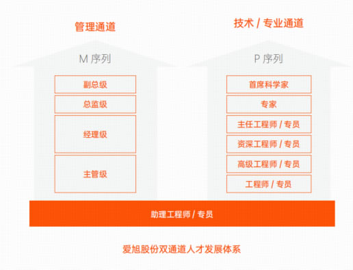 emc易倍·(中国)体育官方网站-EMC SPORTS